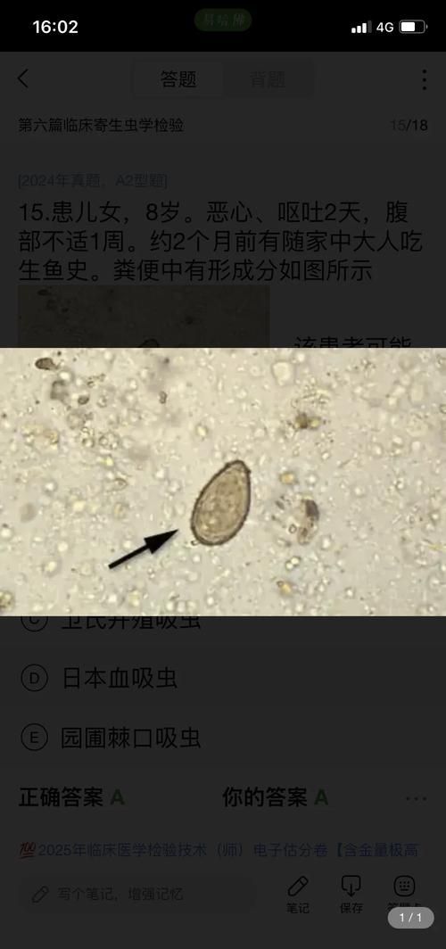 哪些魚類寄生蟲最容易感染人，哪些魚類寄生蟲最容易感染人類寄生蟲最容易感染人類