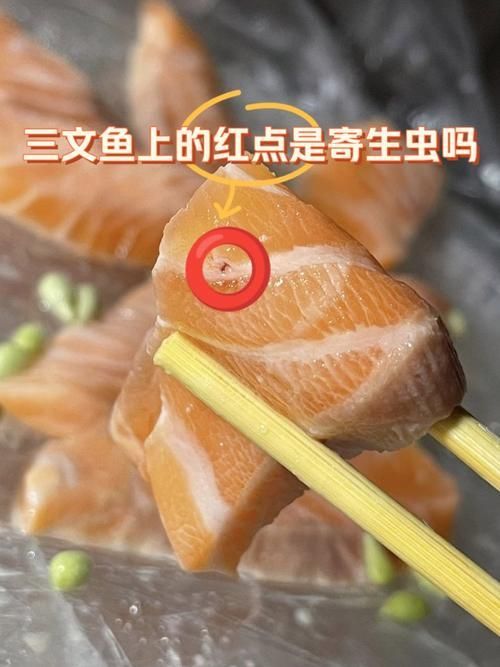 哪些魚類寄生蟲最容易感染人，哪些魚類寄生蟲最容易感染人類寄生蟲最容易感染人類