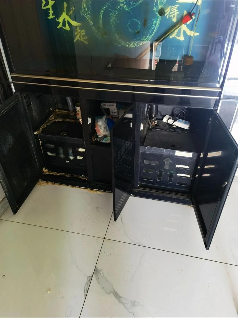 能提供更多森森魚缸的圖片嗎？，森森魚缸的設計與功能