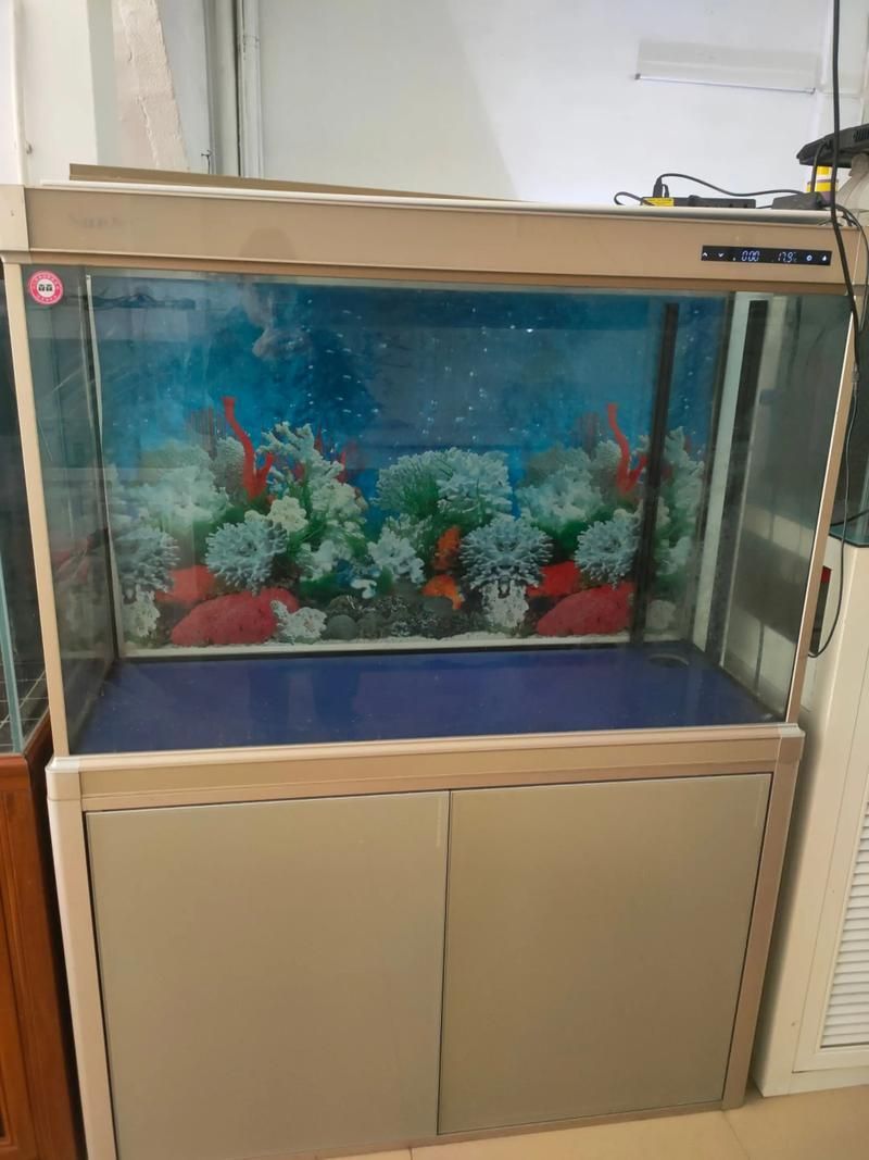能提供更多森森魚缸的圖片嗎？，森森魚缸的設計與功能