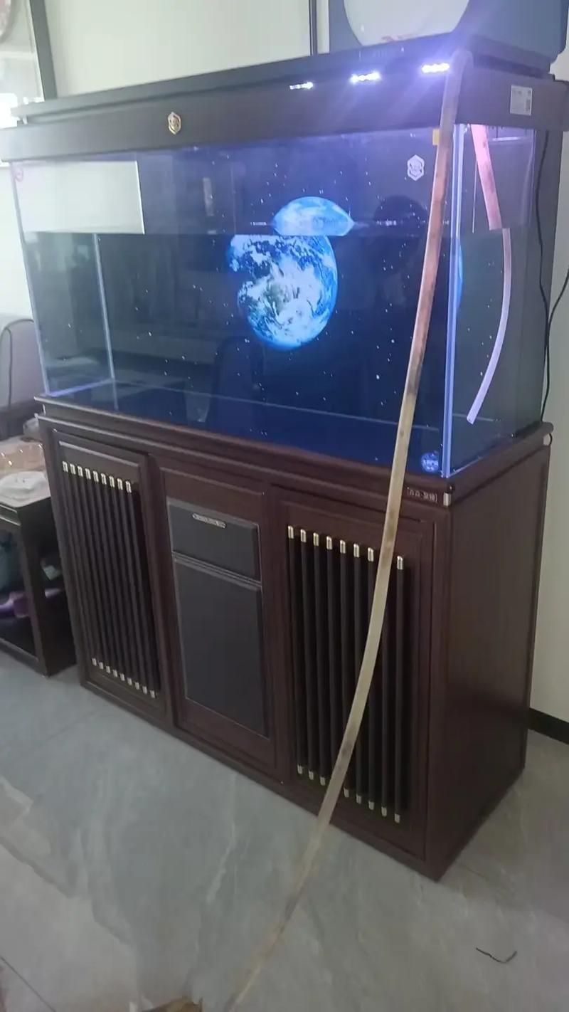 能提供更多森森魚缸的圖片嗎？，森森魚缸的設計與功能