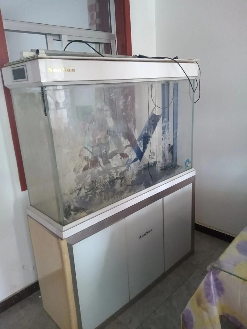 能提供更多森森魚缸的圖片嗎？，森森魚缸的設計與功能