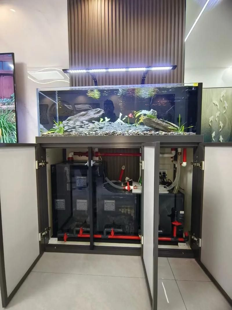 能提供更多森森魚缸的圖片嗎？，森森魚缸的設計與功能