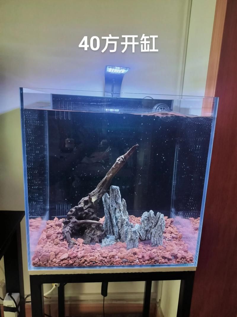 有哪些魚缸尺寸推薦，魚缸尺寸如何選擇