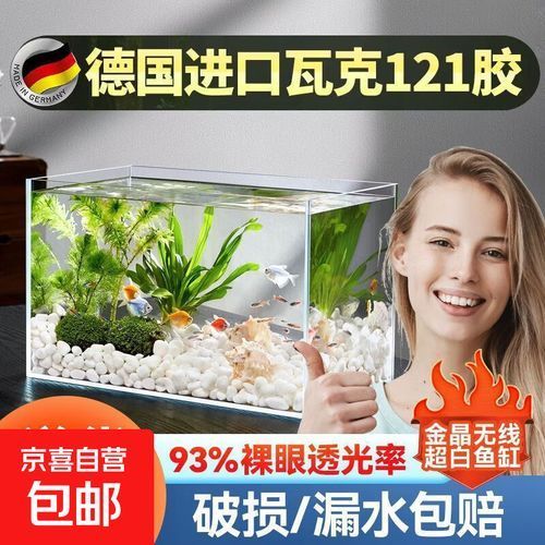 有哪些魚缸尺寸推薦，魚缸尺寸如何選擇