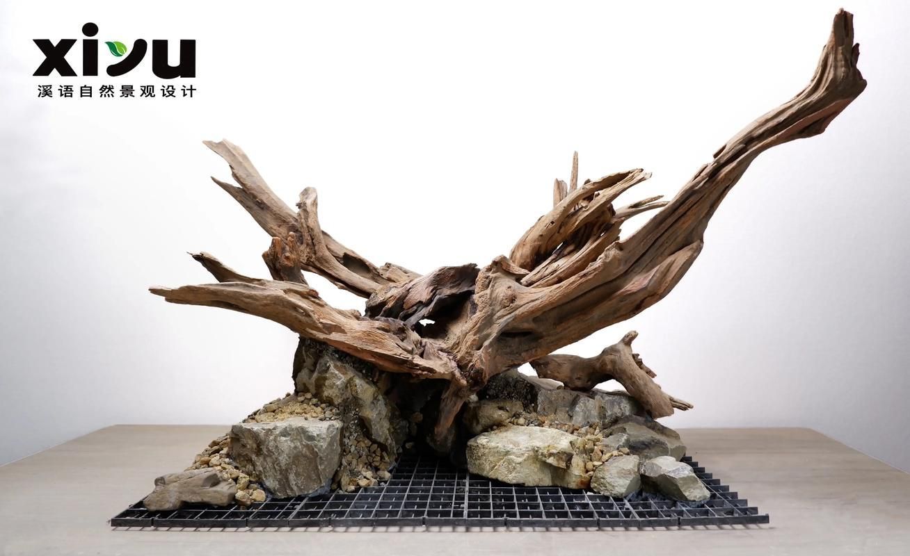有哪些魚缸尺寸推薦，魚缸尺寸如何選擇