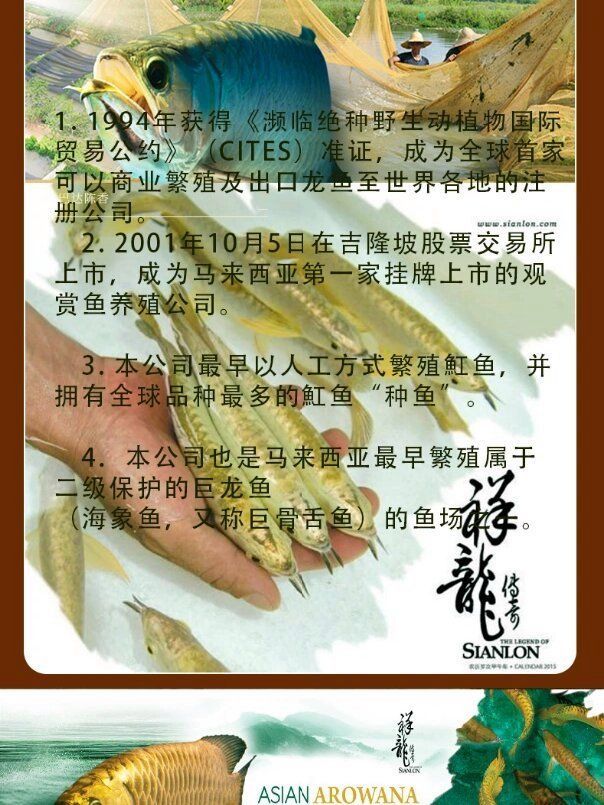 祥龍魚場的龍魚缸評價怎么樣？，祥龍魚場的龍魚缸評價怎么樣