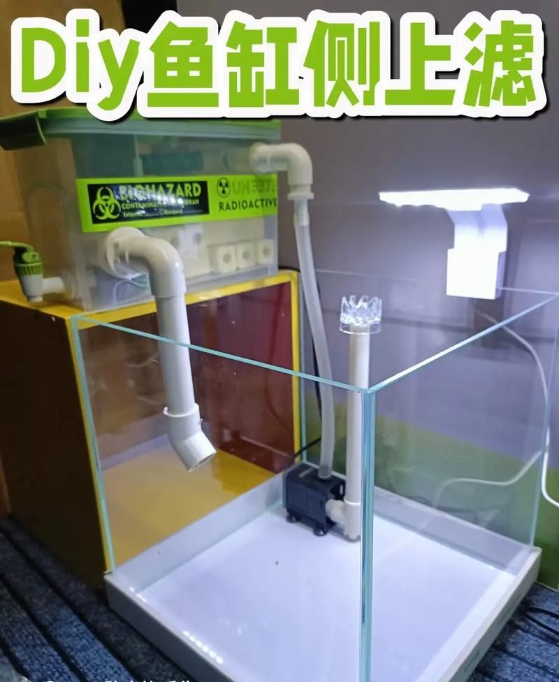 如何降低大銀龍魚(yú)的飼養(yǎng)成本，如何降低大銀龍魚(yú)的飼養(yǎng)成本，降低飼養(yǎng)成本的關(guān)鍵因素
