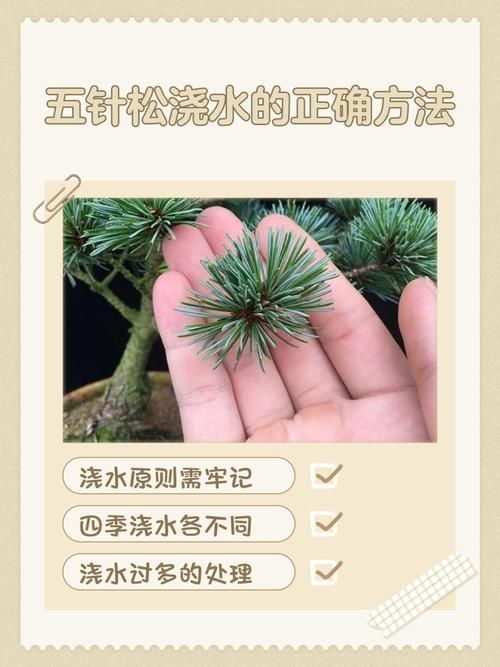 如何預防黑身松鱗病的發生，arxiv論文助手詳解如何預防黑身松鱗病的發生 如何預防黑身松鱗病的發生，arxiv論文助手詳解如何預防黑身松鱗病的發生 龍魚百科 第5張
