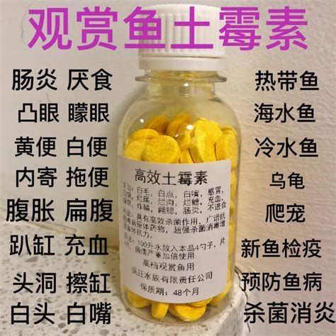 龍魚腸炎用什么藥效果好，龍魚腸炎用什么藥效果好,