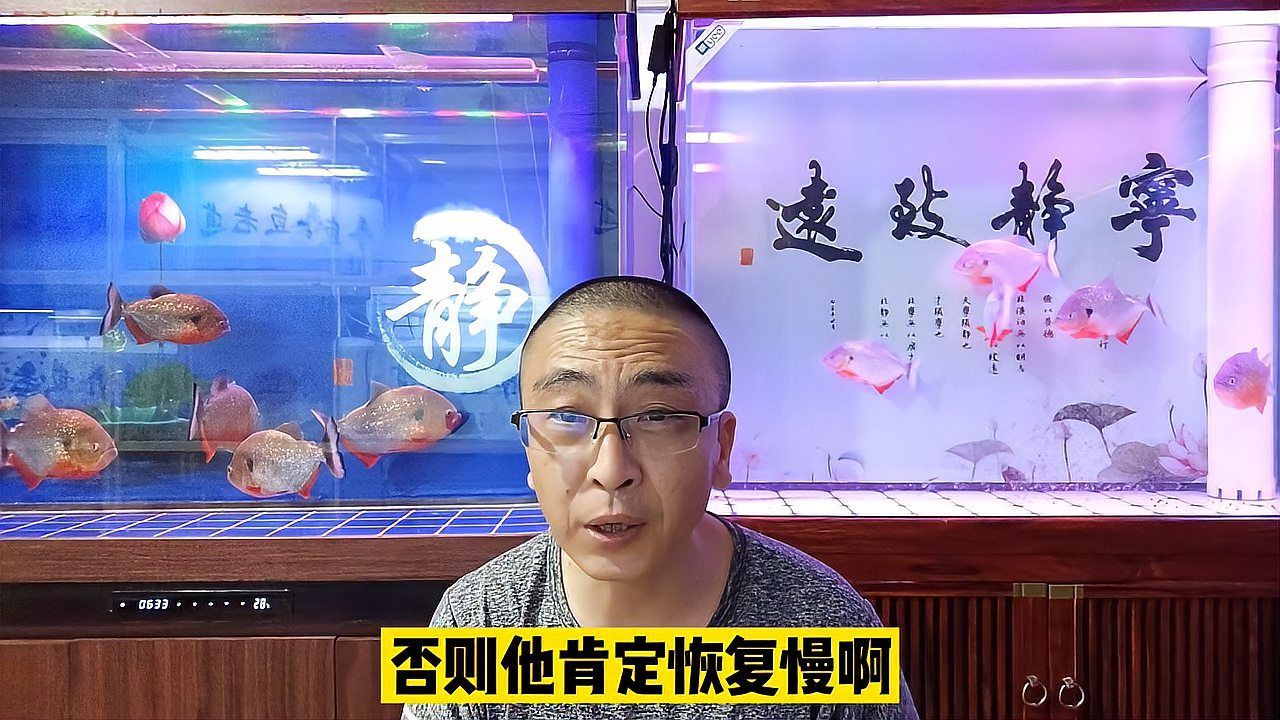 魚受傷了多久能自愈，魚受傷了多久能自愈，魚類受傷后的自愈能力