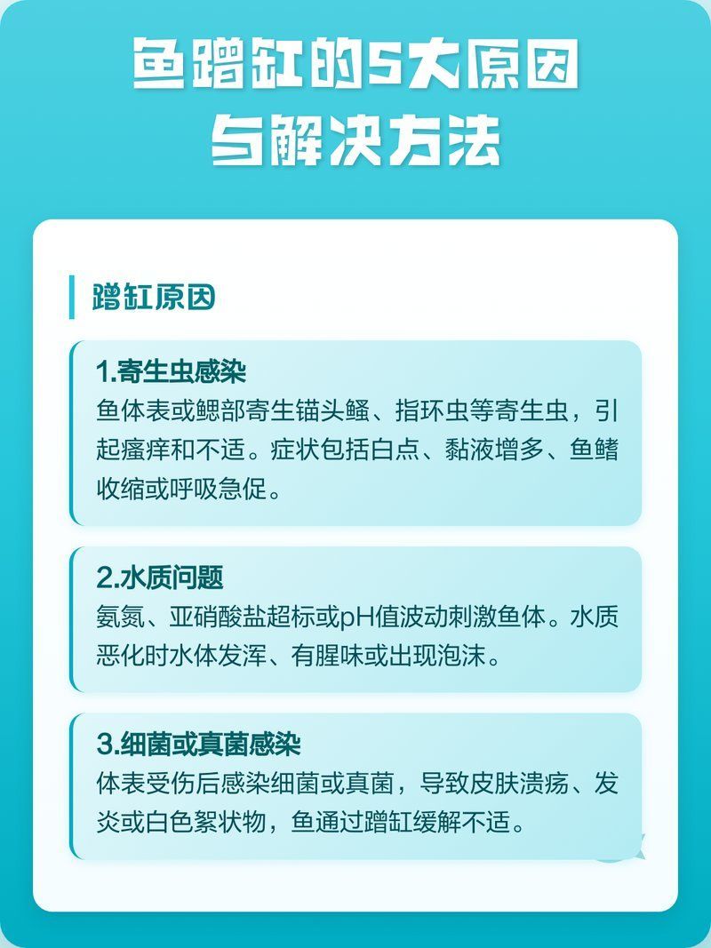 如何改善龍魚的生活環(huán)境減少蹭缸？，如何改善龍魚的生活環(huán)境以減少蹭缸行為 如何改善龍魚的生活環(huán)境減少蹭缸？，如何改善龍魚的生活環(huán)境以減少蹭缸行為 龍魚百科 第7張