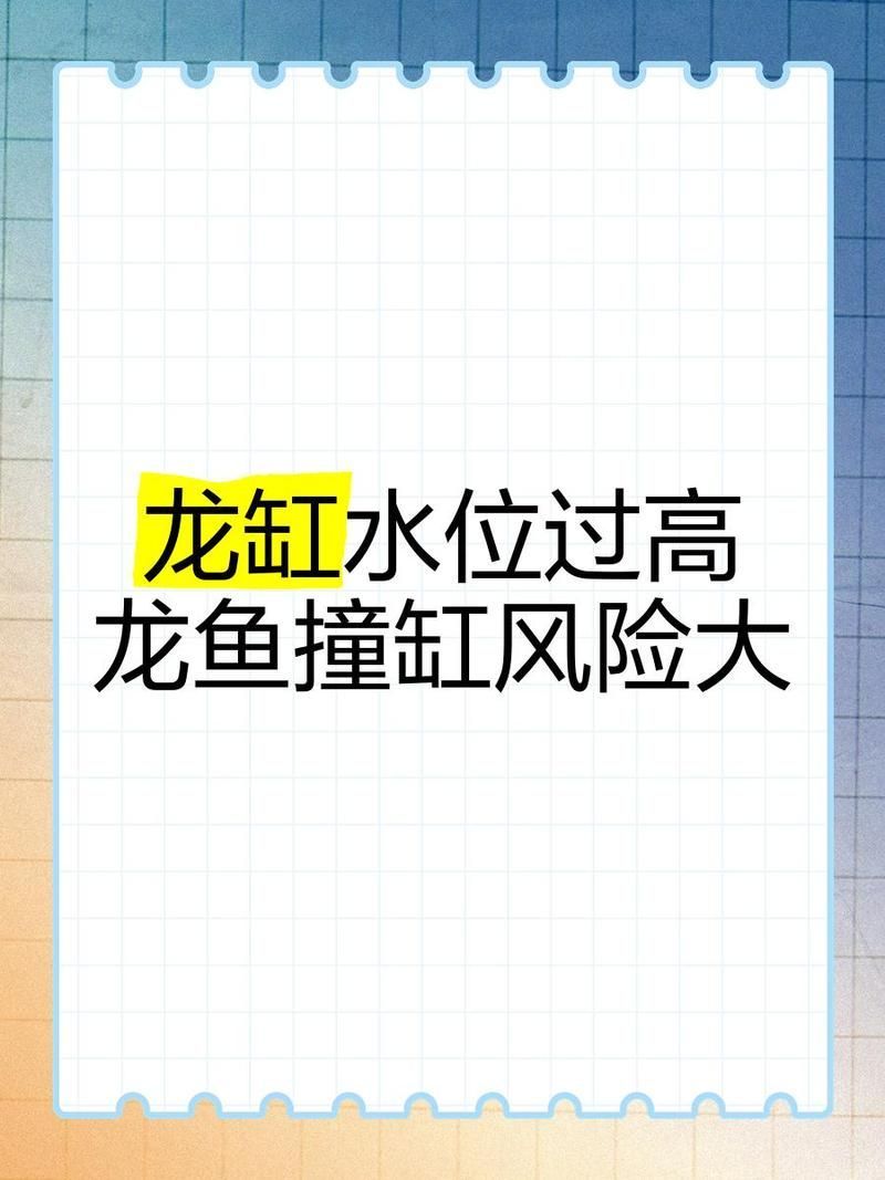 如何改善龍魚的生活環(huán)境減少蹭缸？，如何改善龍魚的生活環(huán)境以減少蹭缸行為 如何改善龍魚的生活環(huán)境減少蹭缸？，如何改善龍魚的生活環(huán)境以減少蹭缸行為 龍魚百科 第8張