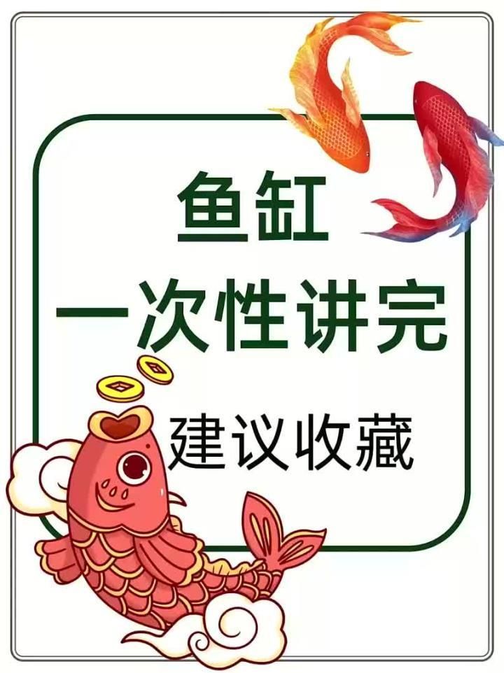 魚缸大小與風水有何關系，客廳魚缸尺寸與風水匹配清單