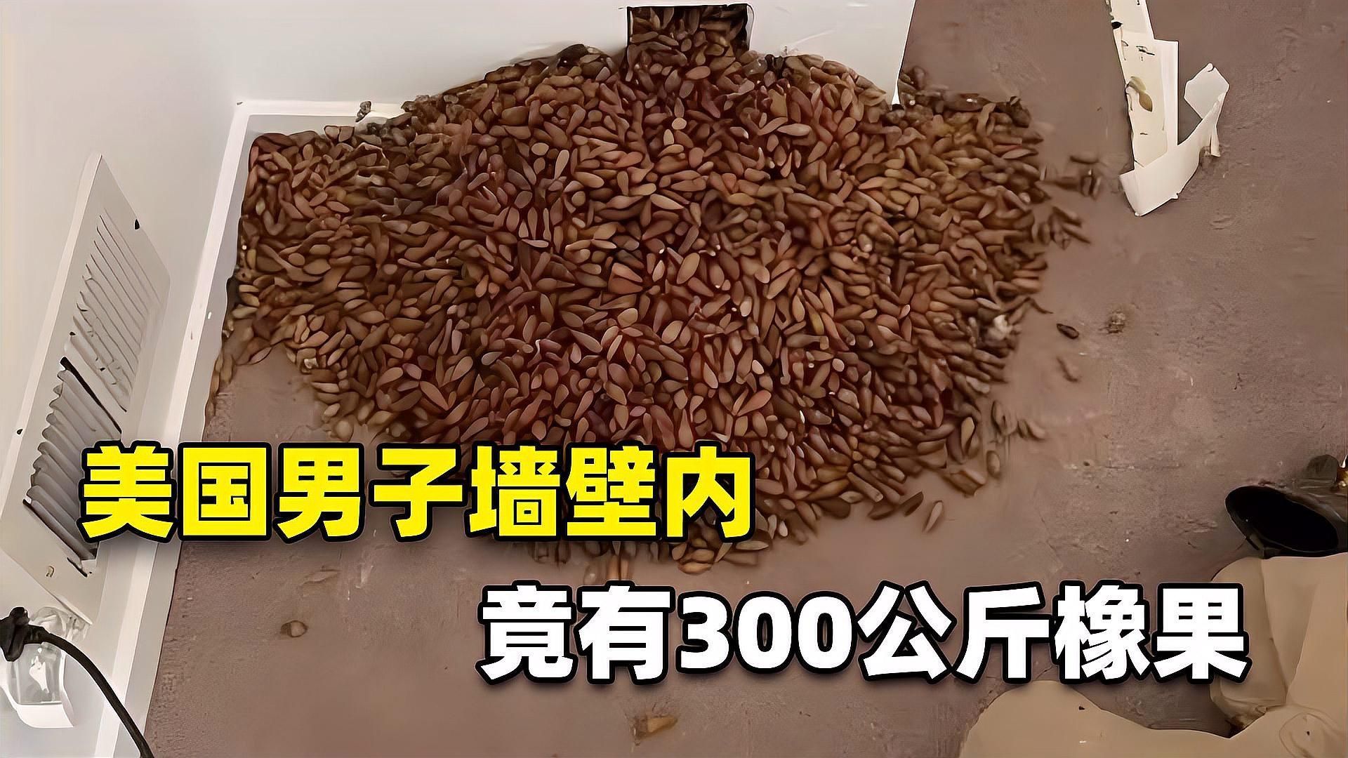 有哪些天然方法可以防治龍魚干和面包蟲，有哪些天然方法可以防治龍魚干和面包蟲,你這個問題挺細