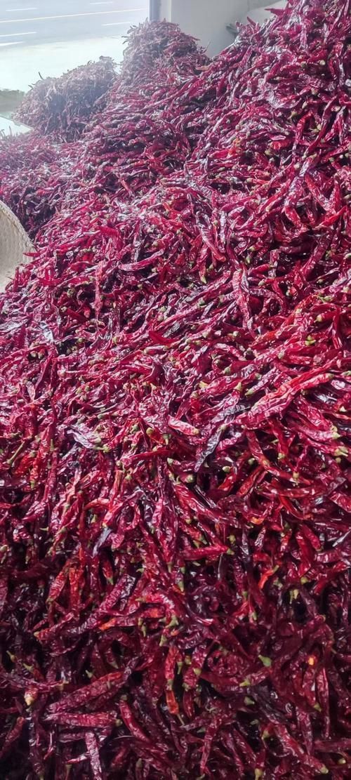 辣椒紅龍的市場(chǎng)價(jià)格如何，辣椒紅龍的價(jià)格如何