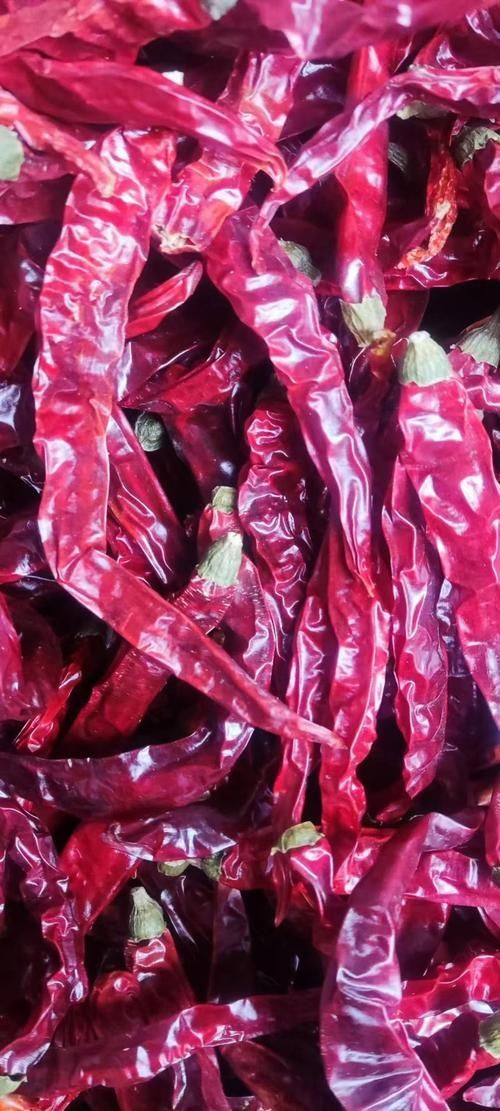 辣椒紅龍的市場(chǎng)價(jià)格如何，辣椒紅龍的價(jià)格如何