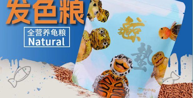 龜增色最簡單三個顏色，龜增色最簡單三個顏色提升