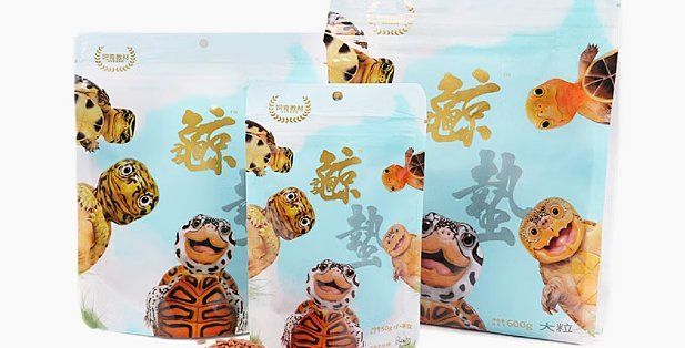 龜增色最簡單三個顏色，龜增色最簡單三個顏色提升