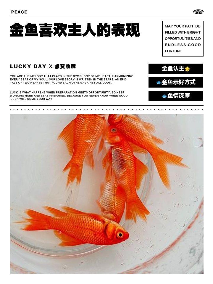 如何觀察魚缸里的魚社交互動，如何觀察魚缸里的“人際關系”？