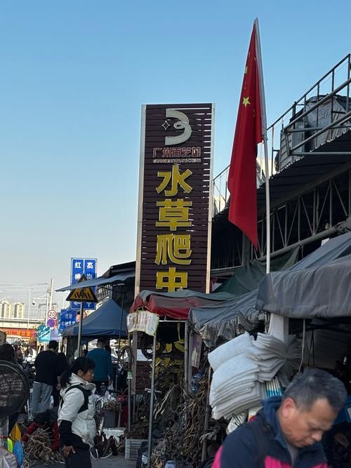 哪里可以購買到正宗的廣州紅龍魚？，廣州紅龍魚線上平臺(tái)購買紅龍魚有哪些風(fēng)險(xiǎn)