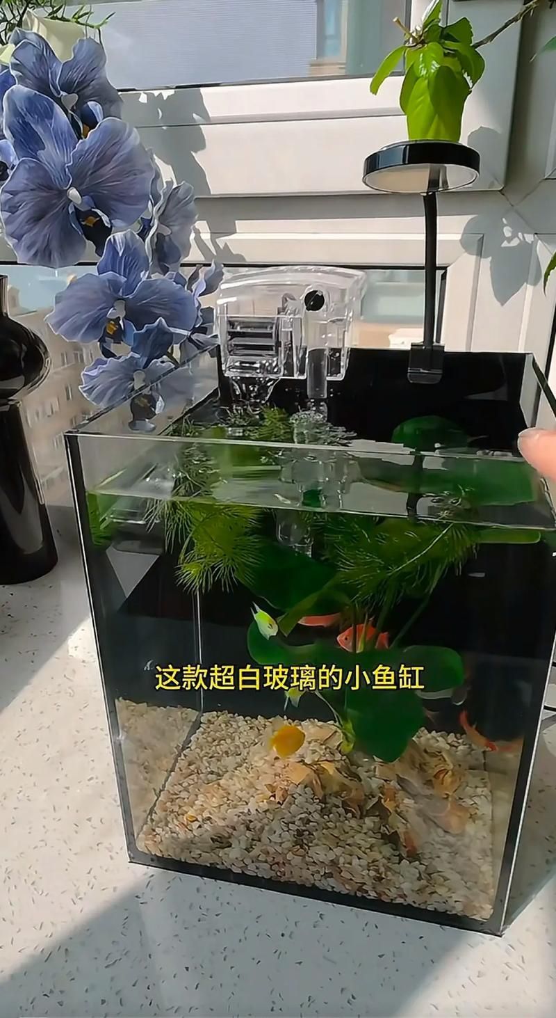 九鼎魚缸，九鼎魚缸的優勢