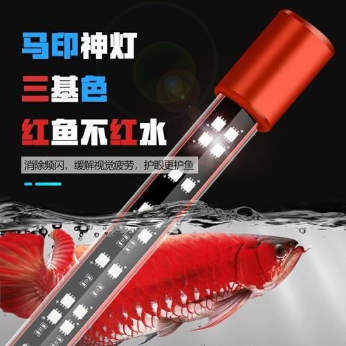 三基色燈對龍魚增色有多大影響？，三基色燈對龍魚發色有多大影響？