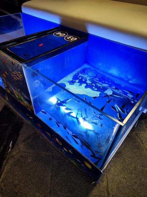 如何檢測龍魚缸中的水質(zhì)指標？，如何檢測龍魚缸中的水質(zhì)指標