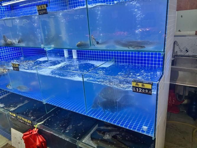 祥龍魚場的魚缸怎么樣？，祥龍魚場是什么樣的？