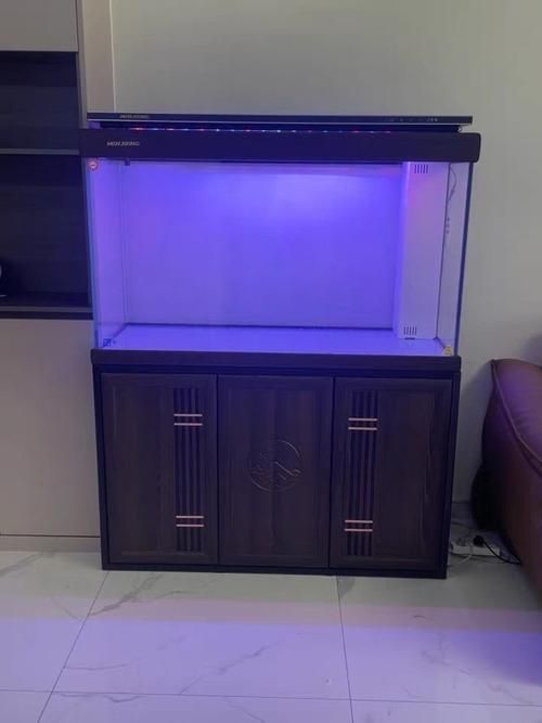 60-80厘米高的龍魚缸哪個品牌最好？