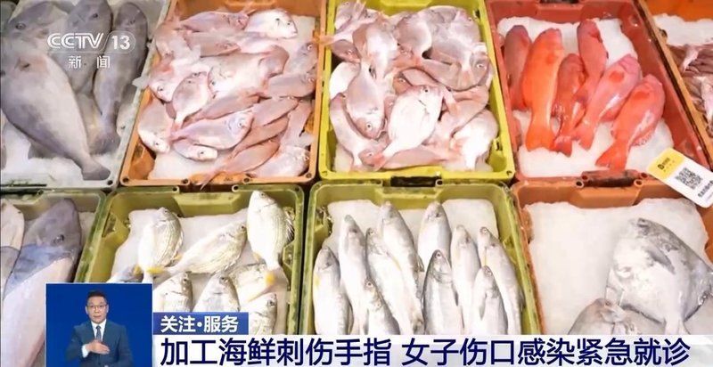 如何預防魚外傷感染，如何預防魚外傷感染及其實操指南
