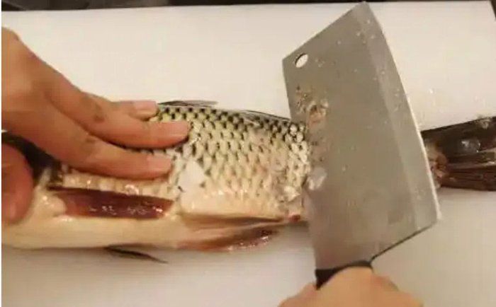 如何預防魚外傷感染，如何預防魚外傷感染及其實操指南