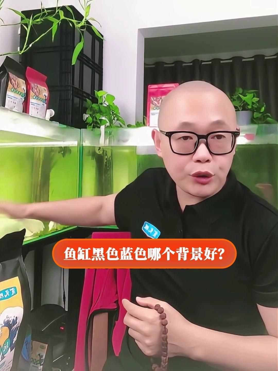 有哪些魚缸背景顏色推薦