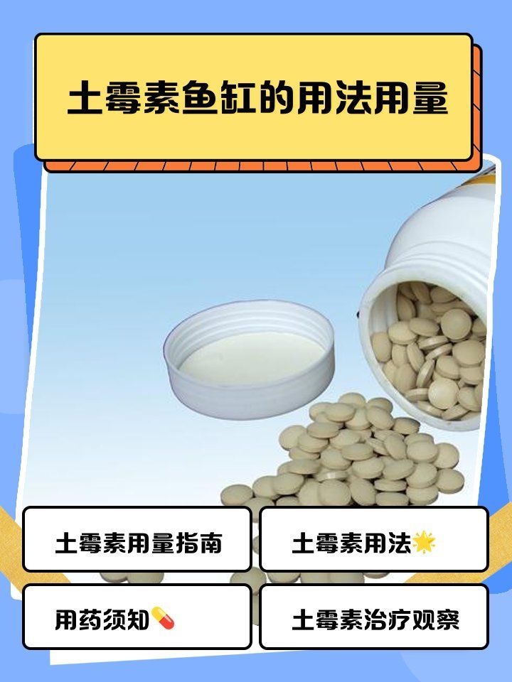 如何正確使用龍魚專用魚藥，如何正確使用龍魚專用魚藥正確使用龍魚專用魚藥
