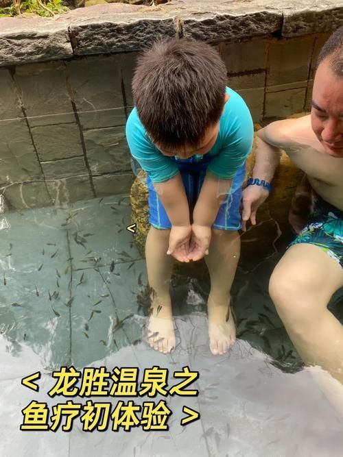 龍魚松鱗了最簡單三個(gè)小妙招，關(guān)于龍魚松鱗的一些建議