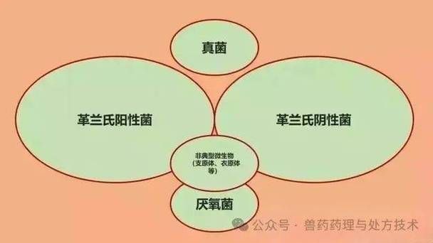 有哪些天然方法預防海水魚細菌感染，天然方法預防海水魚感染