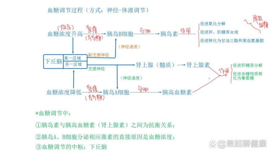 水質性眼膜如何調整pH，水質性眼膜如何補充“ph調節(jié)原理動畫”類
