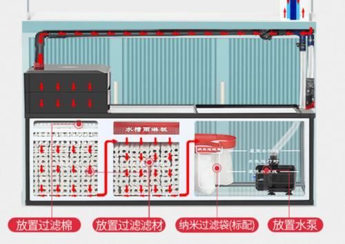 龍魚過濾系統哪個品牌最好？，龍魚過濾系統哪個品牌最好，