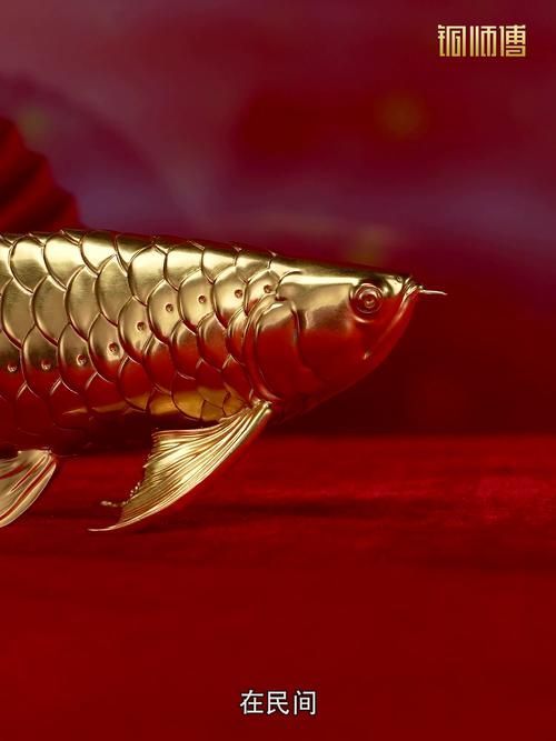 給我推薦幾款高端金龍魚擺件，幾款高端金龍魚擺件推薦