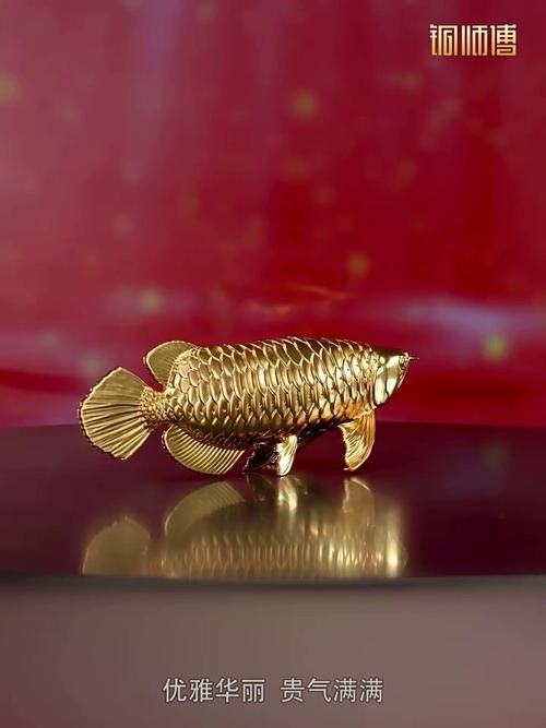 給我推薦幾款高端金龍魚擺件，幾款高端金龍魚擺件推薦