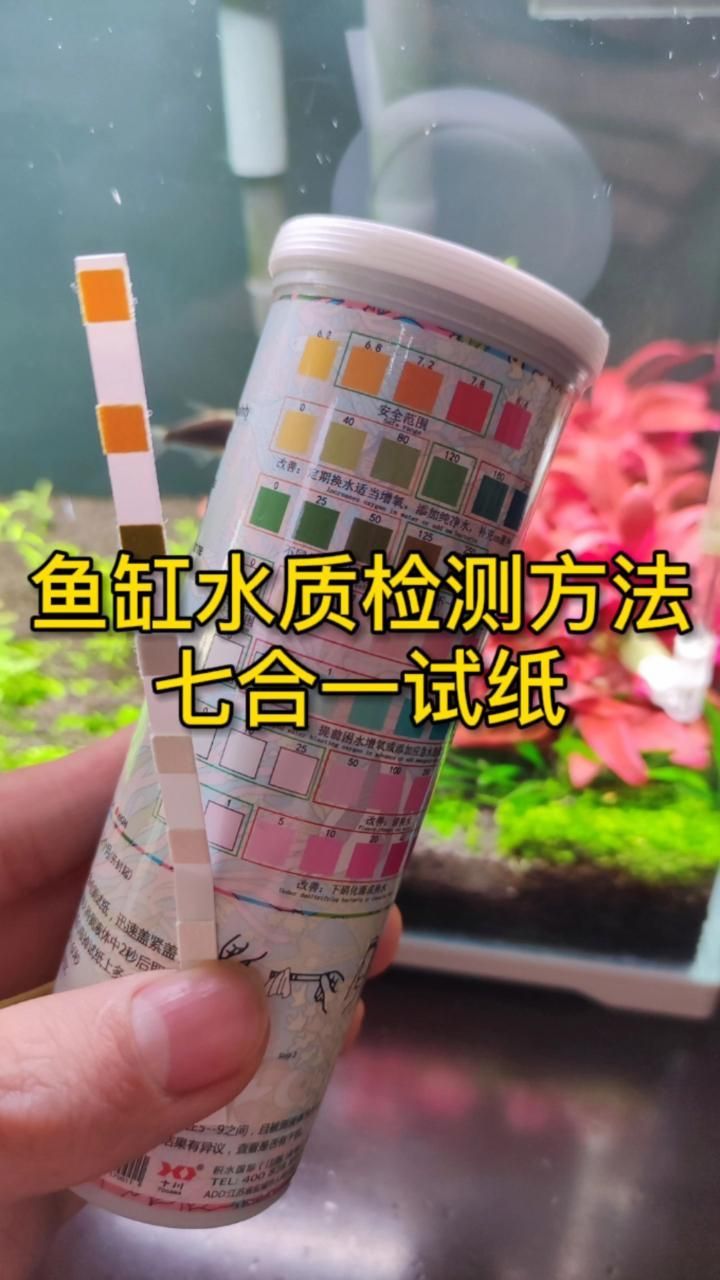如何測試龍魚魚缸的水質參數？，如何測試龍魚 如何測試龍魚魚缸的水質參數？，如何測試龍魚 龍魚百科 第7張