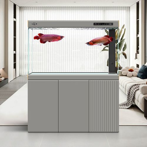 有哪些高檔龍魚缸品牌推薦？，高檔龍魚缸品牌推薦