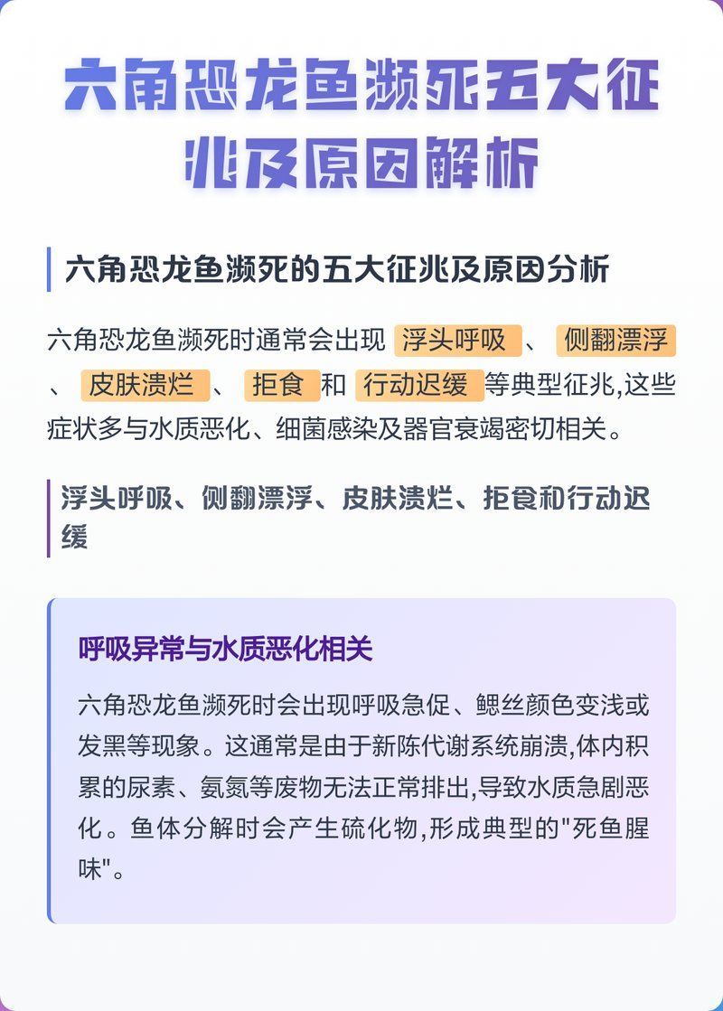 如何判斷龍魚是否死亡（跳缸、浮頭等），如何判斷龍魚是否死亡