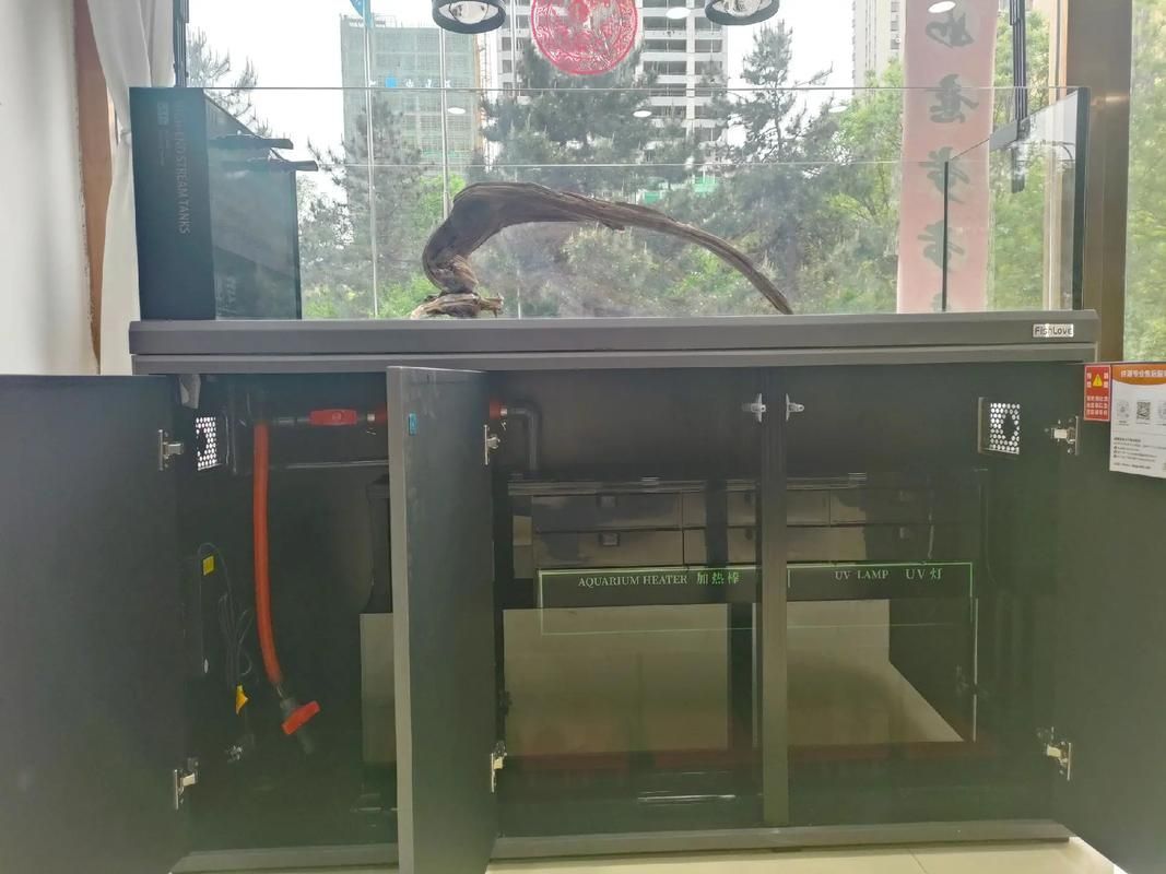 祥龍魚場有哪些高端魚缸系列？，祥龍魚場有哪些高端魚缸系列，祥龍魚場龍魚批發價格是多少