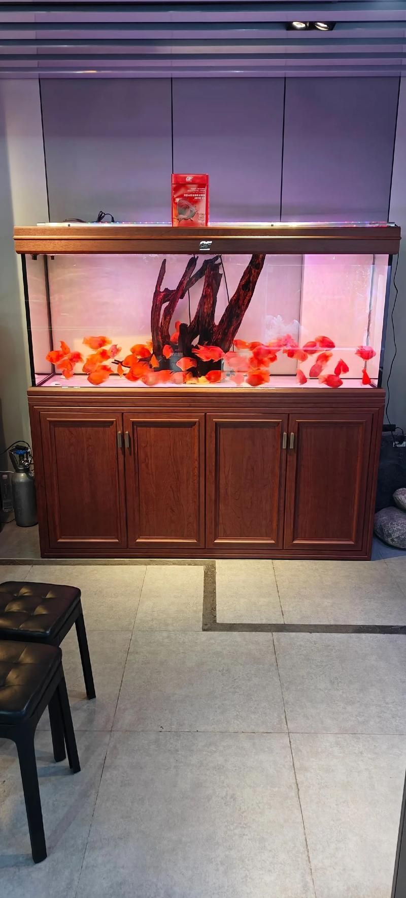 祥龍魚場有哪些高端魚缸系列？，祥龍魚場有哪些高端魚缸系列，祥龍魚場龍魚批發價格是多少