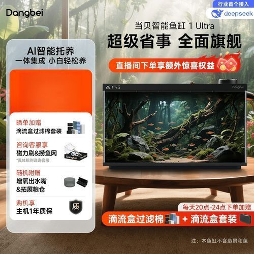 還有哪些魚缸品牌值得推薦，養(yǎng)魚新手入門必看