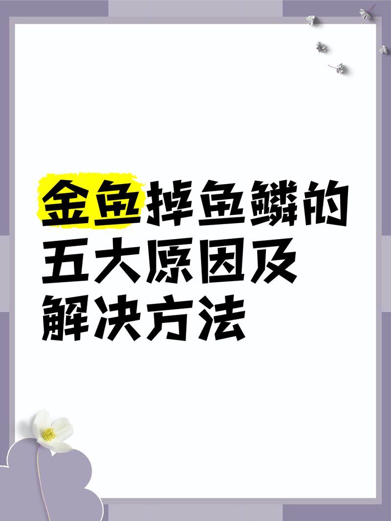 如何預防金魚魚鱗脫落，金魚掉鱗片的原因及解決方法