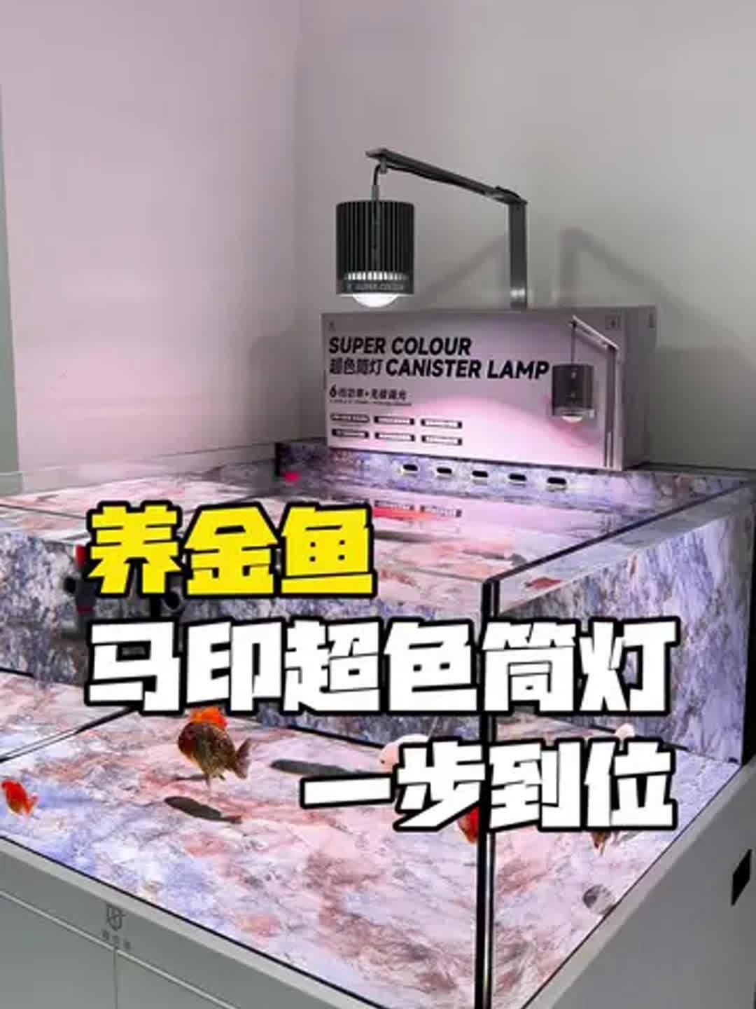 馬印燈具有哪些主打產品，馬印燈具有哪些主打產品調用工具