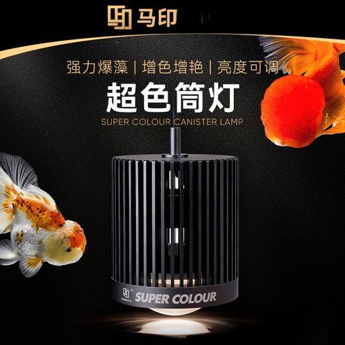 馬印燈具有哪些主打產品，馬印燈具有哪些主打產品調用工具