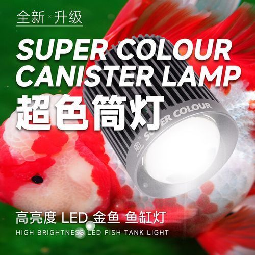 馬印燈具有哪些主打產品，馬印燈具有哪些主打產品調用工具